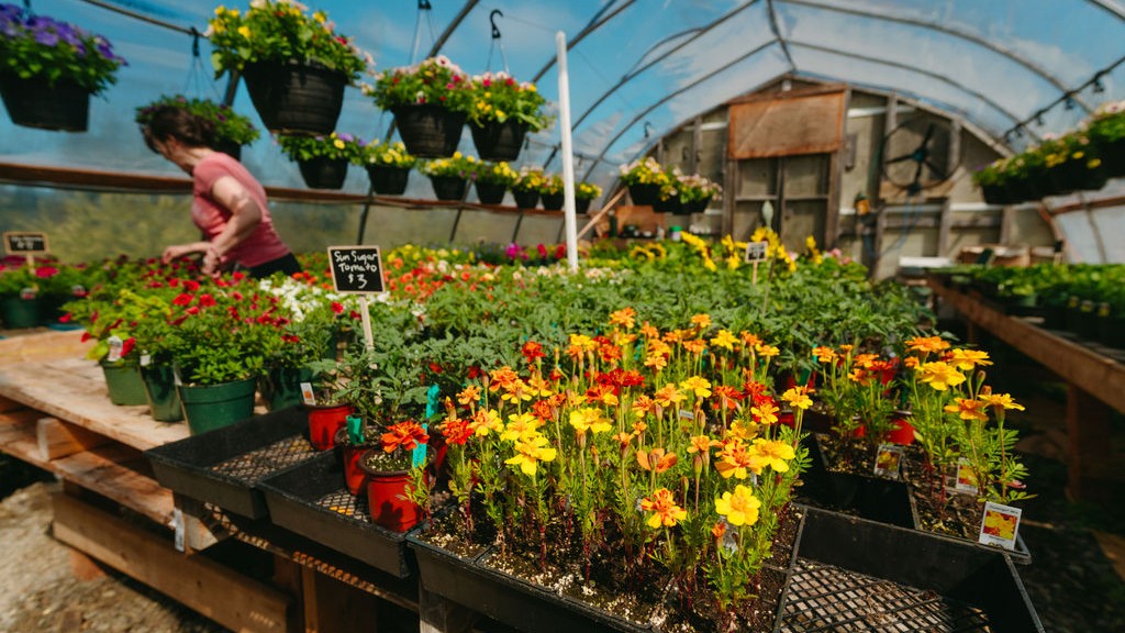 greenhouse